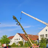 maibaumaufbau_3.jpg
