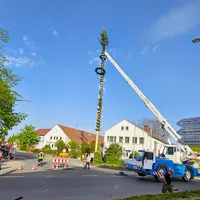 maibaumaufbau_2.jpg