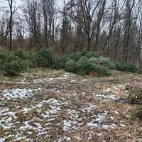 Christbaum_6.jpg